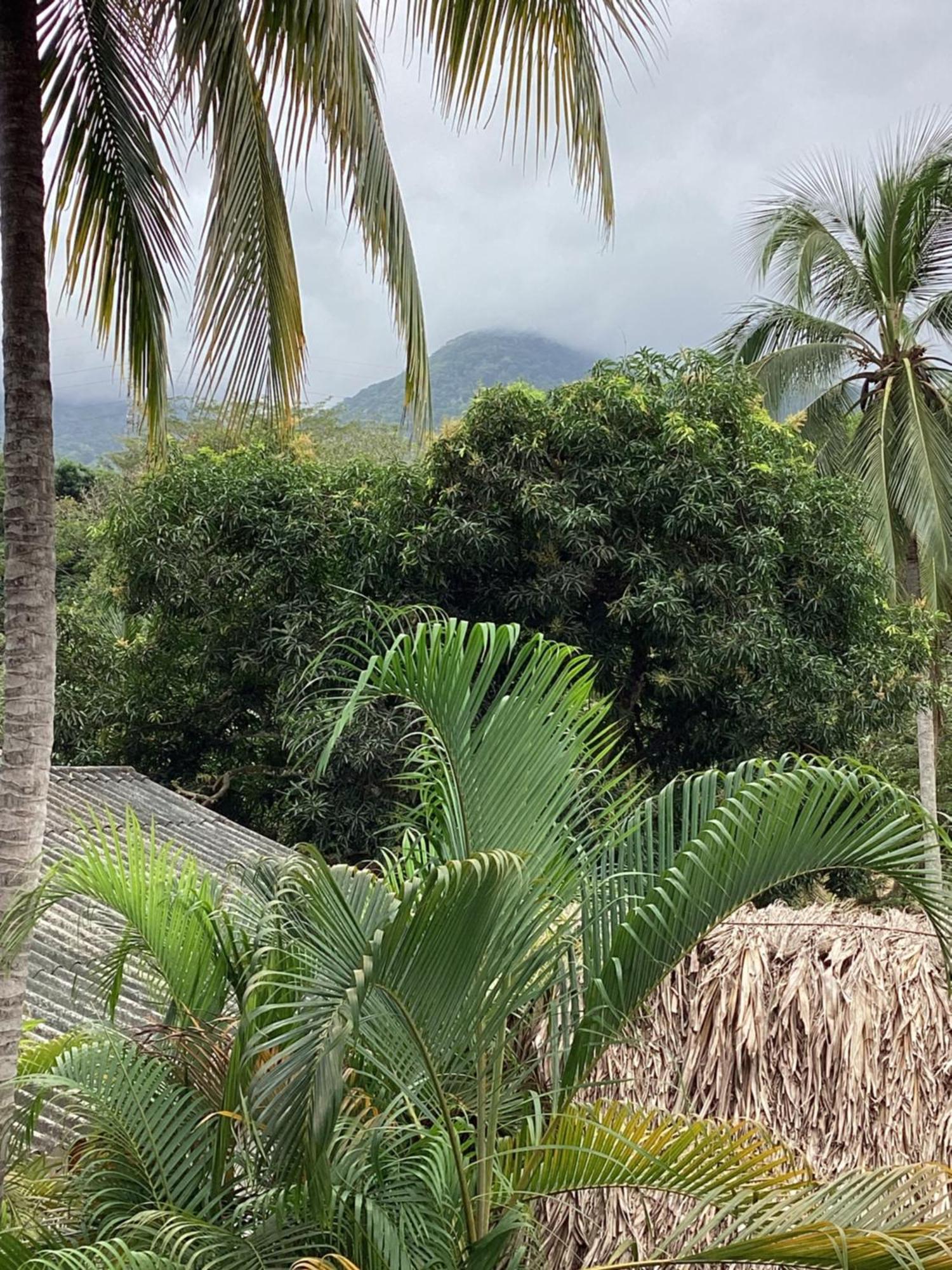 Hostal Antawara Tayrona Эль-Саино Экстерьер фото